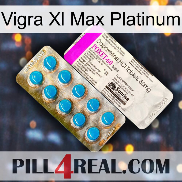 Vigra Xl Max Platinum new07.jpg